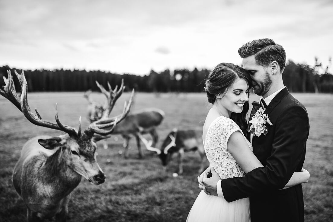 Jaunā pāra izbraukuma fotosesija uz Valgundes briežu dārzu. Kāzu fotogrāfs Juris Zīģelis.