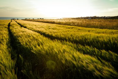 Piekrastes pastaigu šarms saules rietā. Bretaņa.