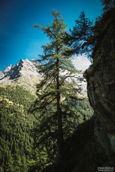 Gran-paradiso-02.09.2016-Fotografs-Juris-Zigelis-053