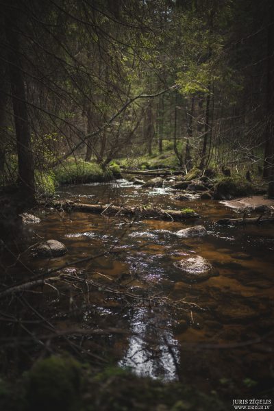 Luzumpunkts-OP-Banka-Pargajiens-13.05.2017-Fotografs-Juris-Zigelis-007