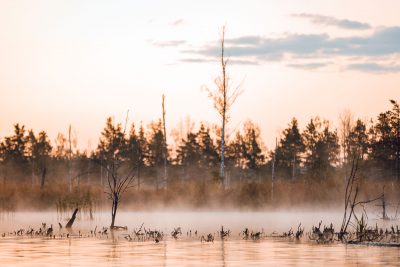 Saullēkta brauciens ar SUP dēli pa Ķemeru nacionālā parka ūdenstilpnēm, kad ar pirmo gaismu parādīs pirmie miglas vāli.