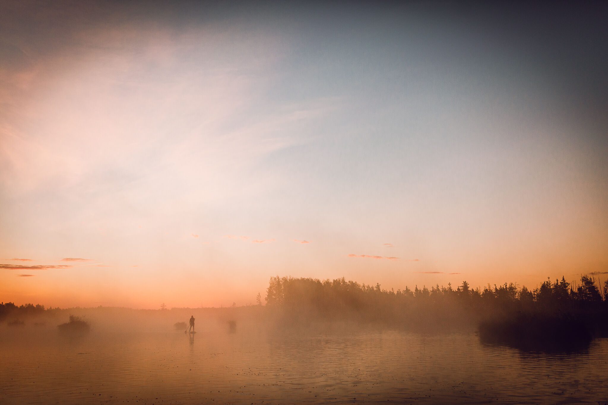 SUP dēļu saullēkta brauciens, cilvēks miglā. Ķemeru nacionālais parks, 2018.