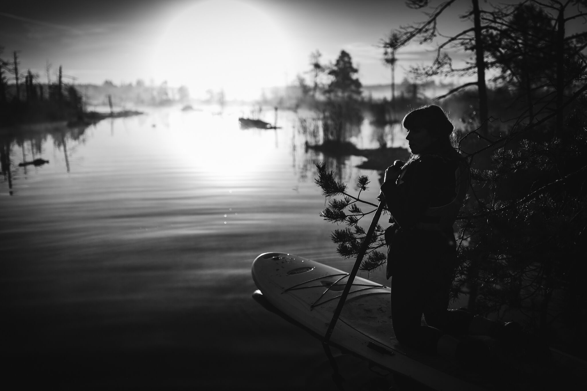 SUP dēļu saullēkta brauciens. Ķemeru nacionālais parks, 2018.