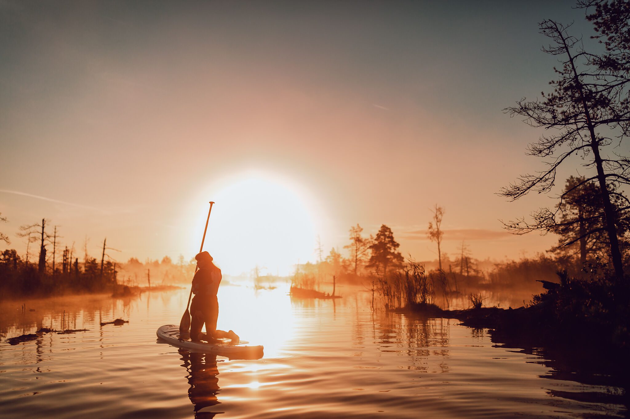 SUP dēļu saullēkta brauciens. Ķemeru nacionālais parks, 2018.