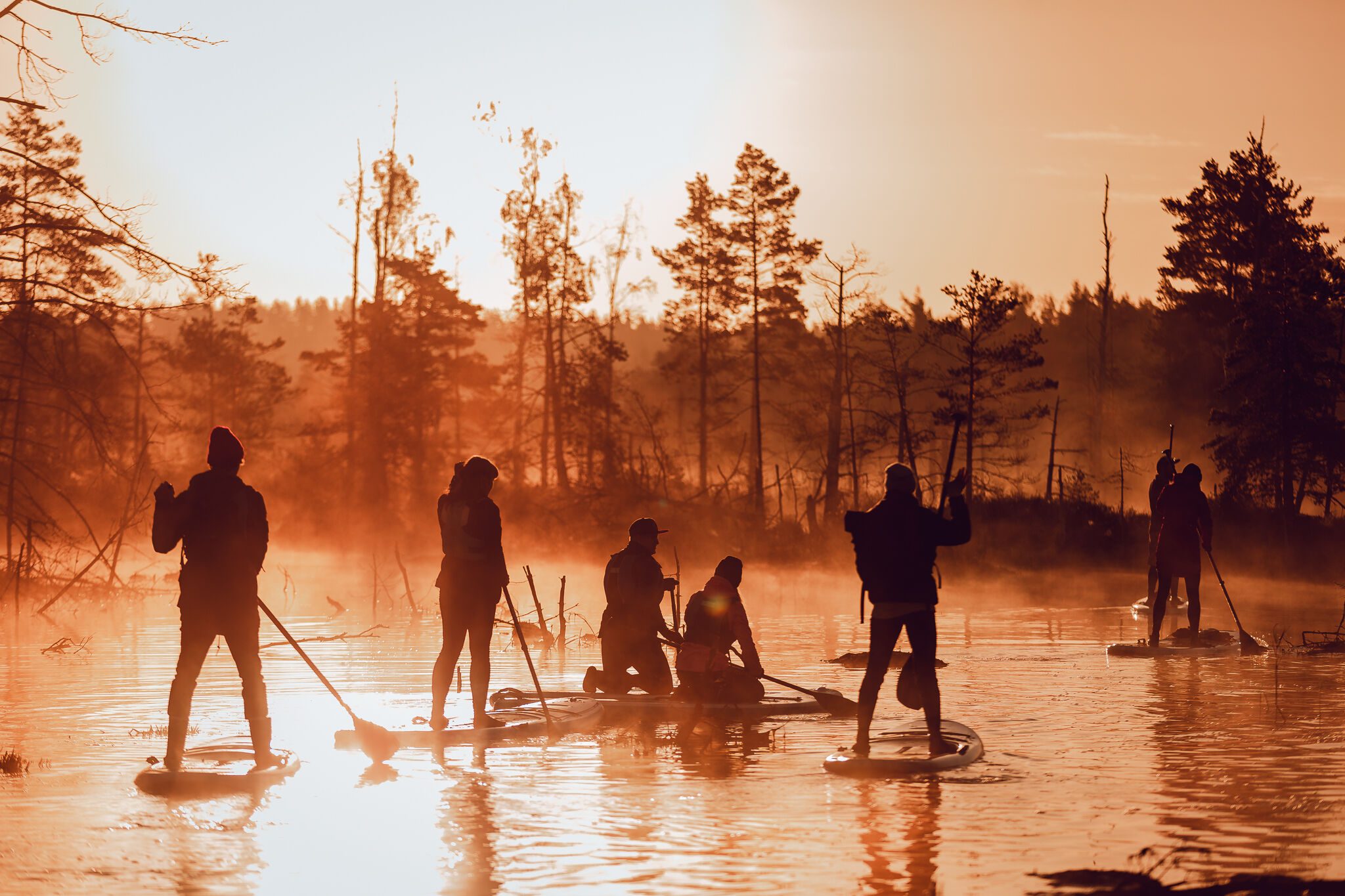 SUP dēļu saullēkta brauciens. Ķemeru nacionālais parks, 2018.