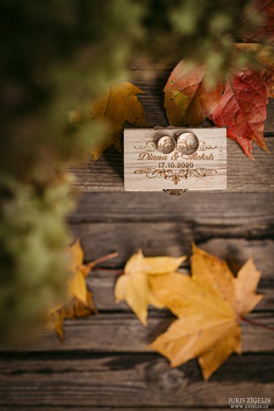 Aleksis-prec-Dianu-17.10.2020-Fotografs-Juris-Zigelis-013